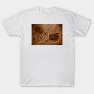 Fossil T-Shirt